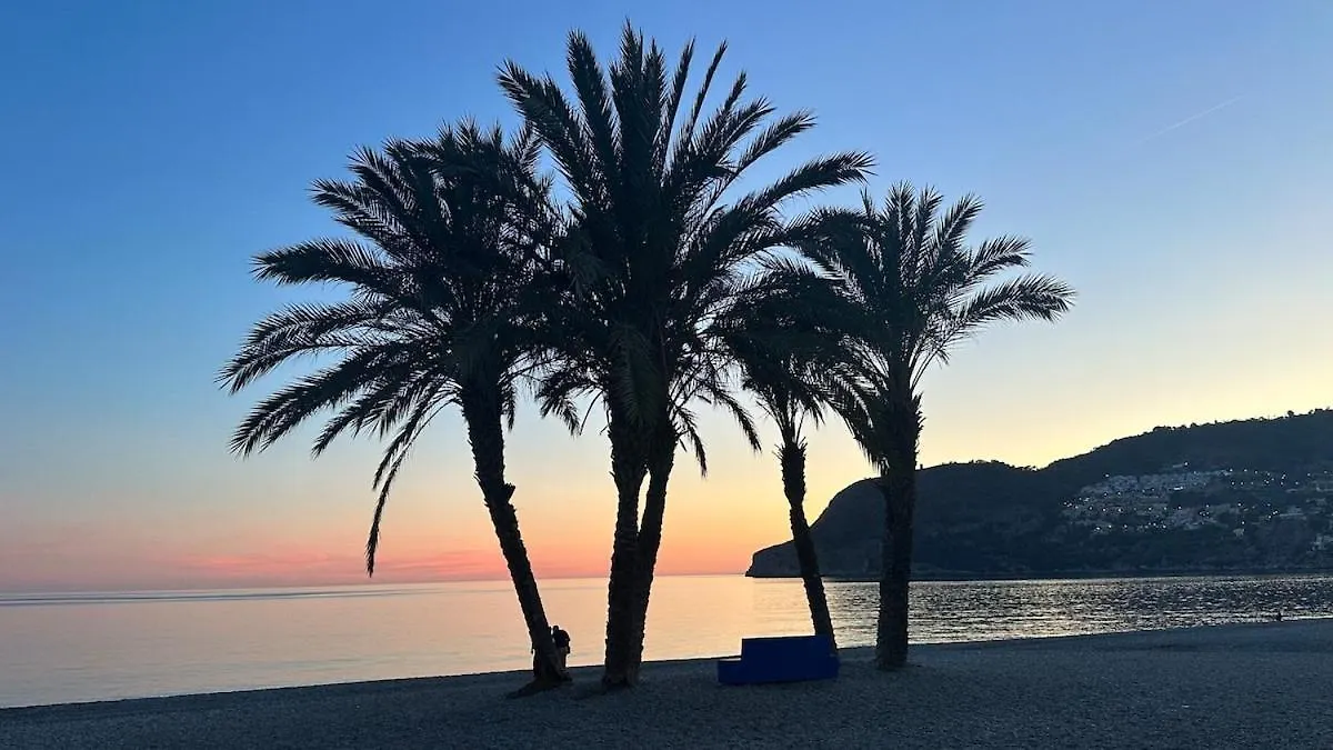 Green By The Bay - La Herradura La Herradura